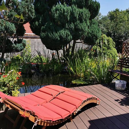 Ferienhaus Mit Mediterraner Terrasse Müllrose Buitenkant foto